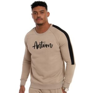 Minimalist Beige Raglan Sweatshirt with Contrast Black Piped Arm Stripes